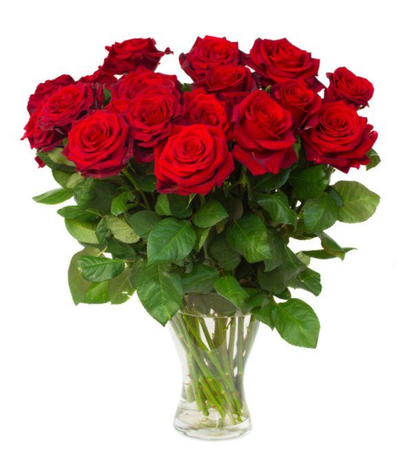 Bouquet de roses
